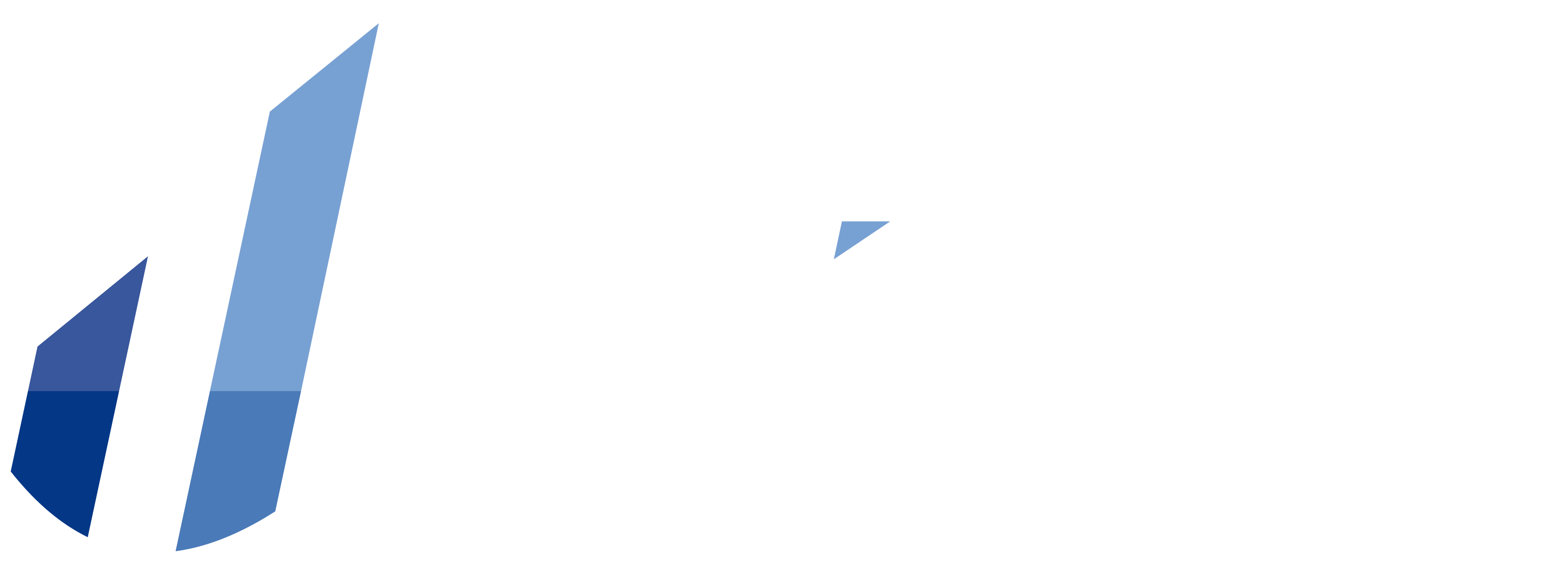 Partner logo-driblab-white